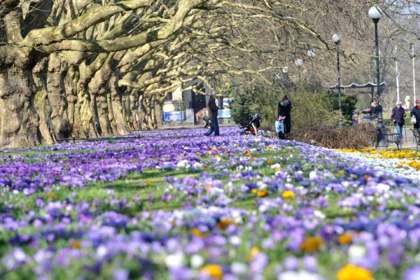 Ранняя Весна на улице