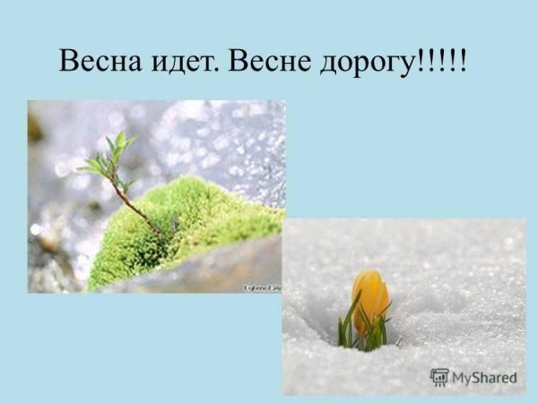 Весна идеттвесне дорогу
