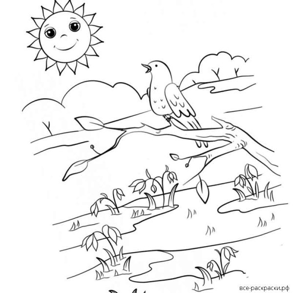 Первоцветы раскраска