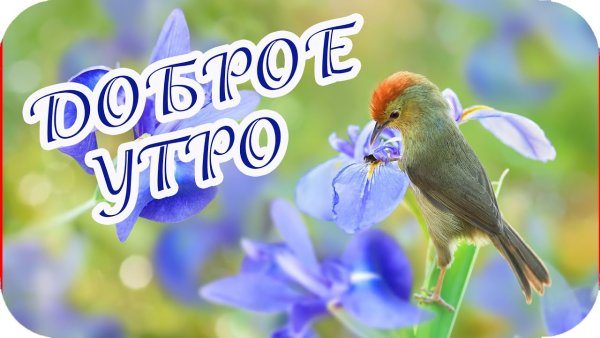 Доброе утро вторника