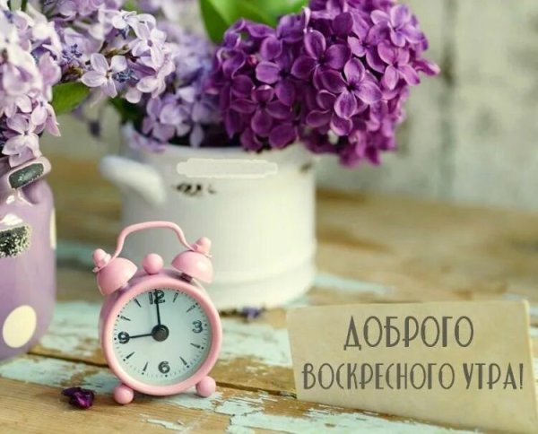 Добрым людям доброе утро