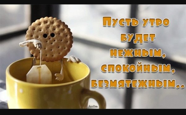 Удачного весеннего дня