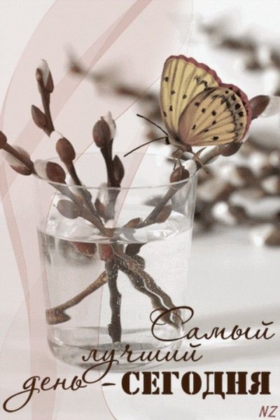 Позитивные пожелания утром