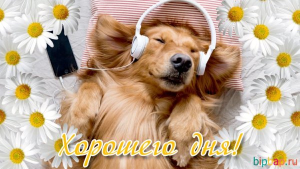 Пожелания доброго утра прикольные