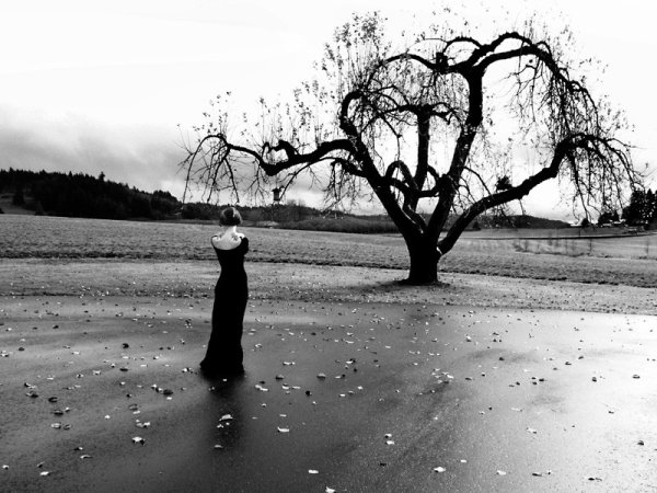 Грустное дерево