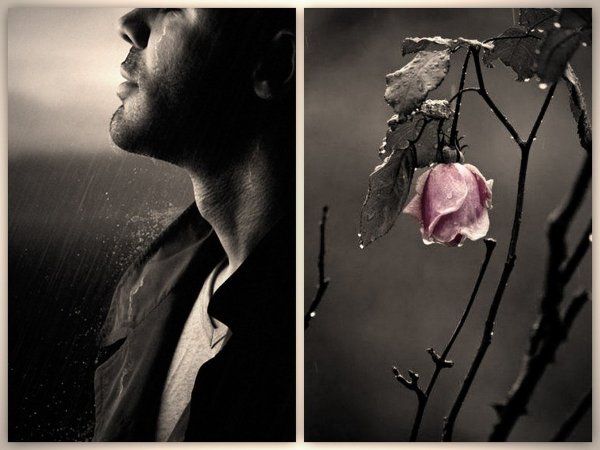 Цветы расставания