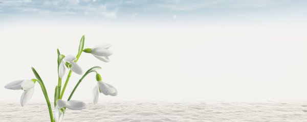 Весна обложка для фейсбука