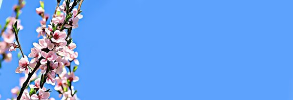 Весеннее цветение.