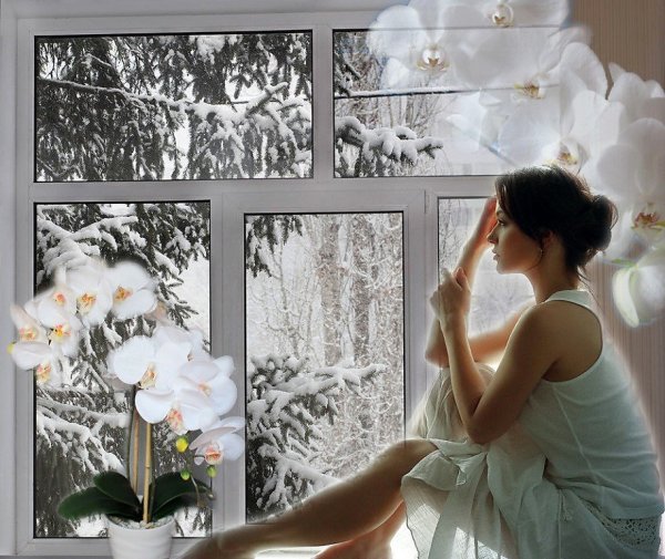 Весна в окно стучится