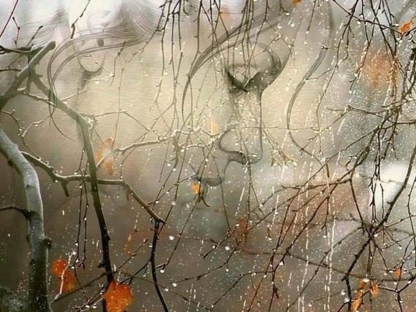 Снег одиночество