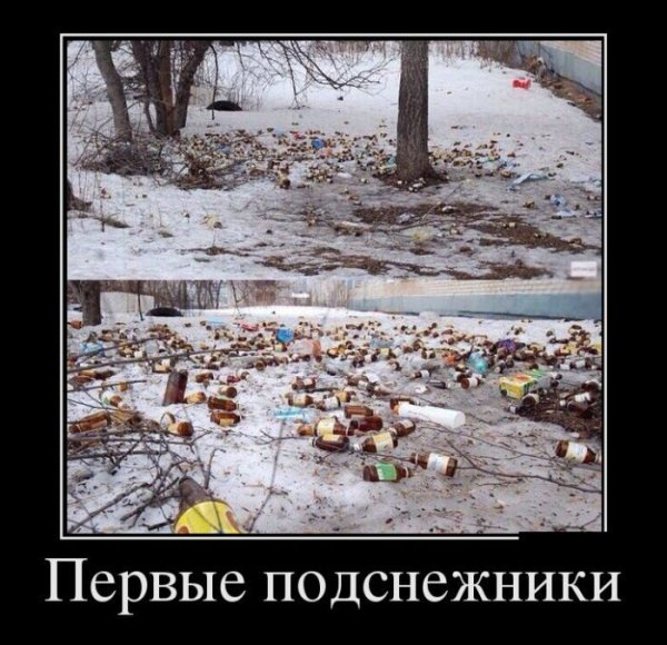 Весна ранняя приколы