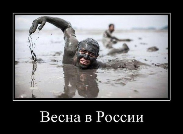 Демотиваторы про весну