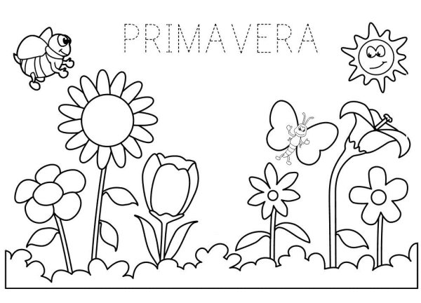 Птицы раскраска для детей