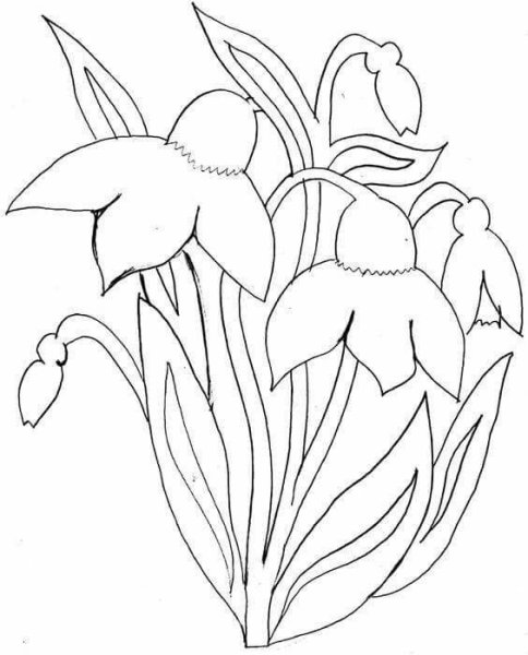 Раскраска. Весна