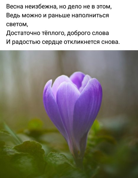 Сегодня в гости к февралю Весна пришла