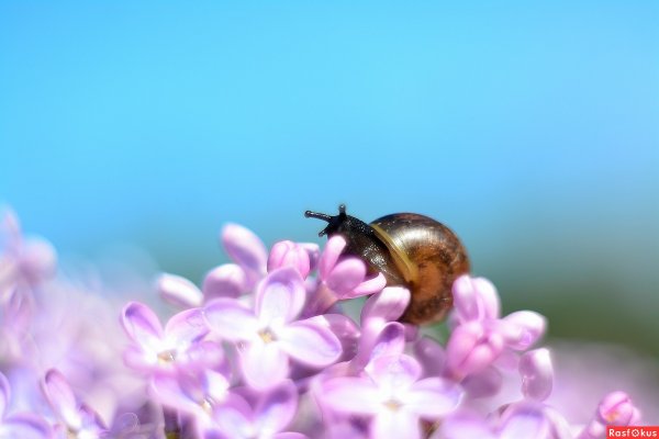 Смешное про весну