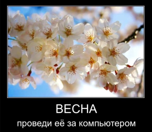 Открытка «Весна»