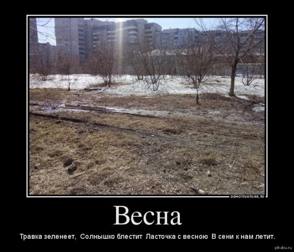 Нежный хрупкий цветок