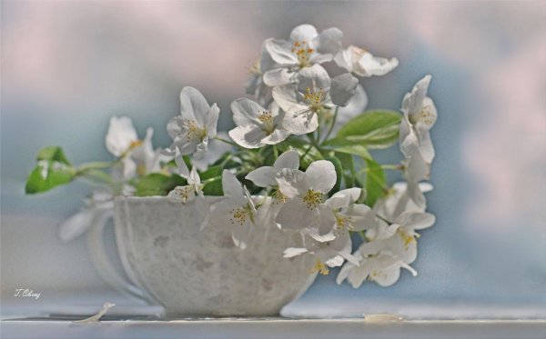 С днем весны