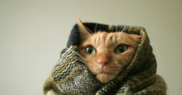 Открытки с юмором прикольные