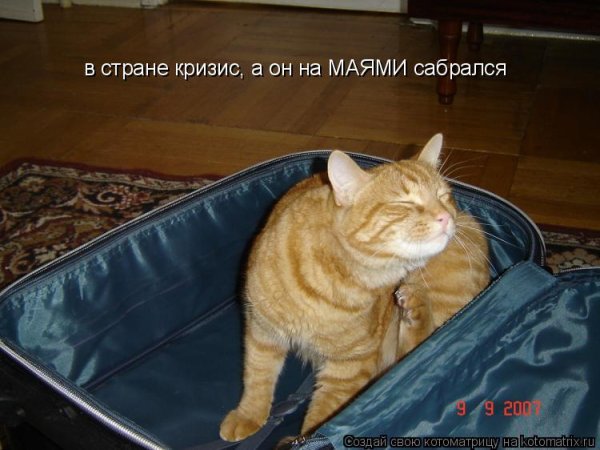 Даже вопрос так не стоит отдавать сыр или нет