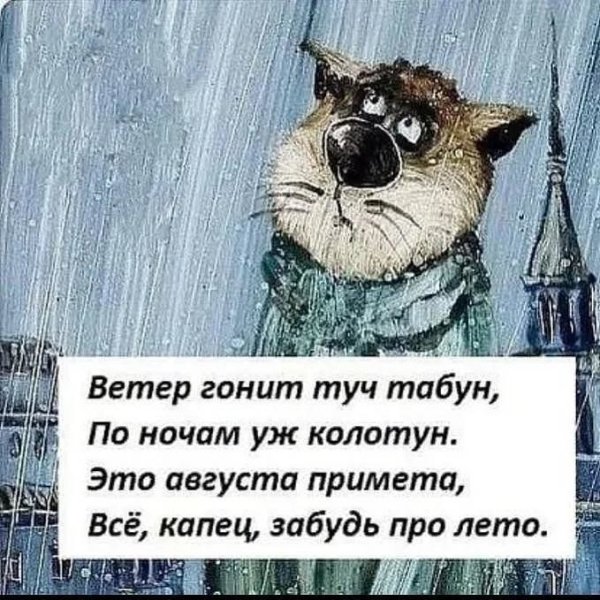 Смешные цитаты про погоду