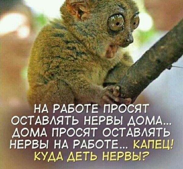 Думали Весна херушки