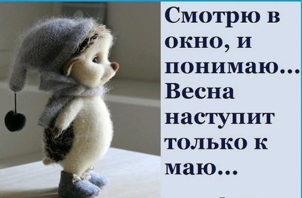 Дождик не помеха хорошему настроению