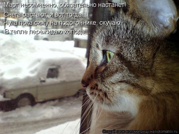 Жену свою не ругаю ее никогда я не брошу