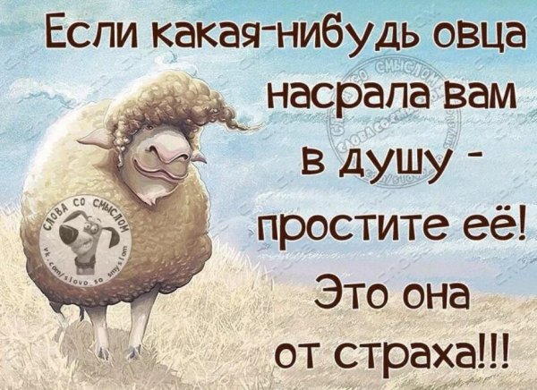 Помолчать вдвоем