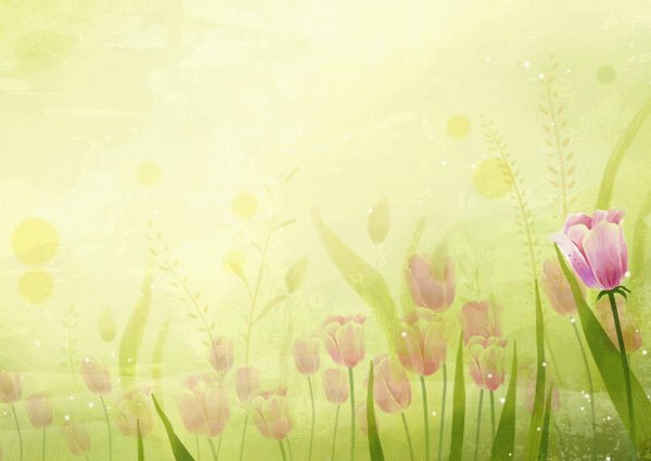 Летняя Поляна с цветами