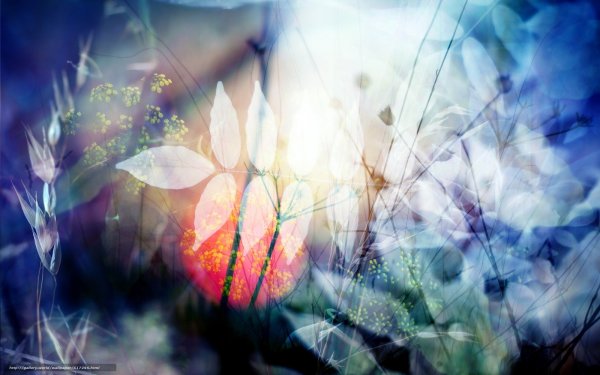 Весенняя абстракция