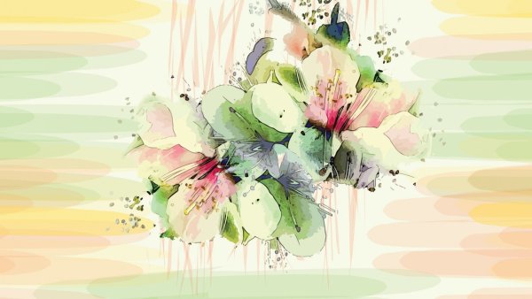 Цветы акварель