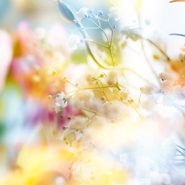 Светлый фон