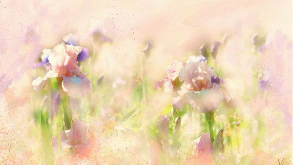 Девушка в цветах рисунок