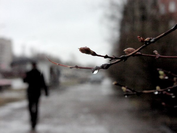 Встречать рассвет