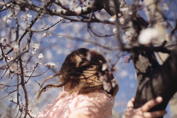 Светлая печаль