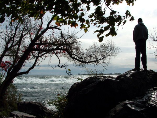 Цветы на скамейке