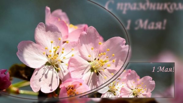 Весна для дошкольников