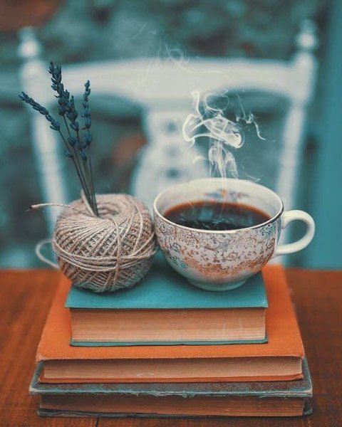 Эстетика сирени и книги
