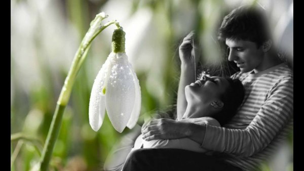 Подснежники и любовь