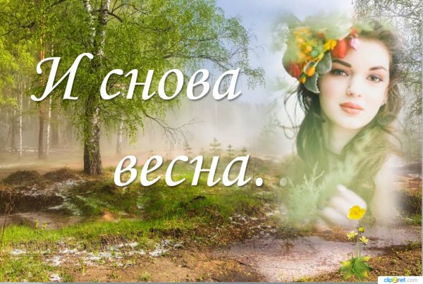 Весна пришла любовь