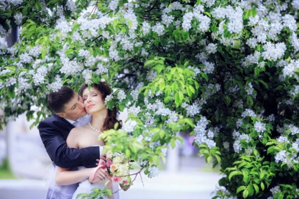 Девушка и парень у дерева