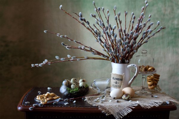 Верба Макросъемка