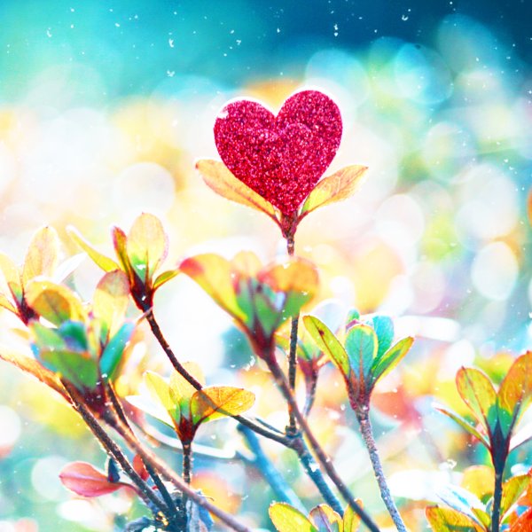 Весна любовь