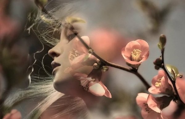 И У судьбы как все счастья себе прошу