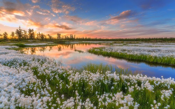Природа России