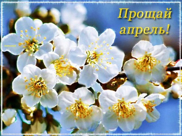 Весеннего настроения пожелания