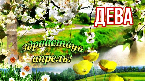 Шмель весной