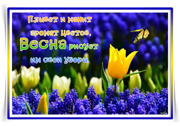 Весенний привет открытки